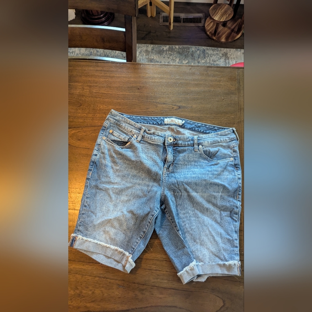 Torrid Light Blue Shorts
